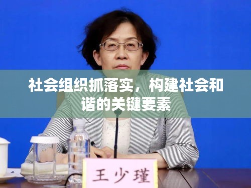 社會組織抓落實(shí)，構(gòu)建社會和諧的關(guān)鍵要素