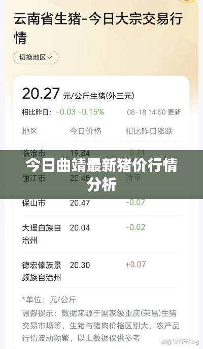 今日曲靖最新豬價(jià)行情分析