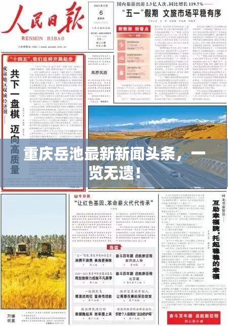 重慶岳池最新新聞頭條，一覽無遺！