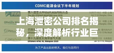 上海泄密公司排名揭秘，深度解析行業(yè)巨頭