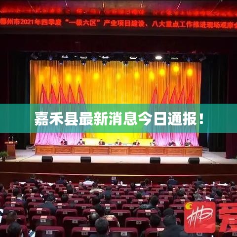 嘉禾縣最新消息今日通報(bào)！