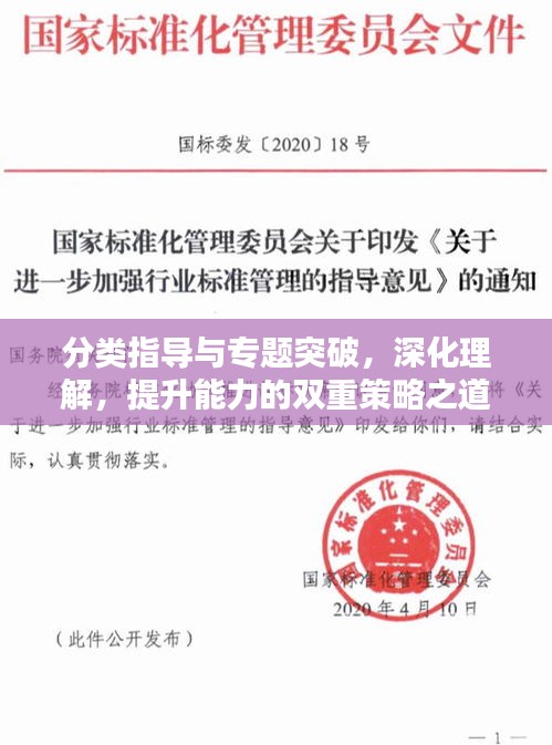 分類指導與專題突破，深化理解，提升能力的雙重策略之道