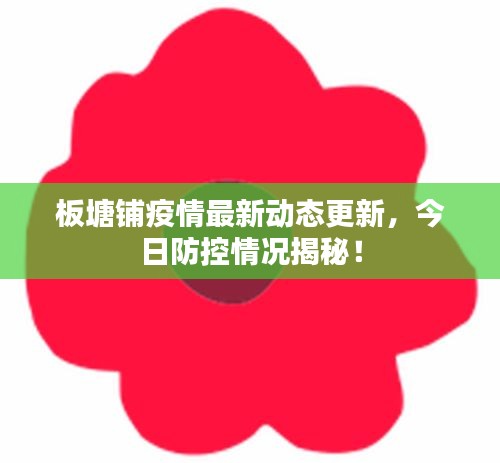 板塘鋪疫情最新動態(tài)更新，今日防控情況揭秘！