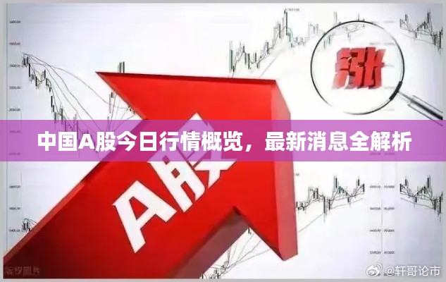 中國A股今日行情概覽，最新消息全解析
