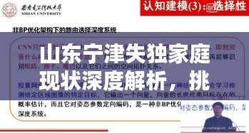 山東寧津失獨家庭現(xiàn)狀深度解析，挑戰(zhàn)與對策