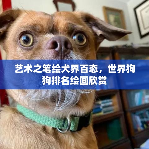 藝術(shù)之筆繪犬界百態(tài)，世界狗狗排名繪畫(huà)欣賞