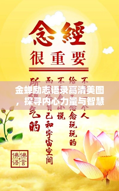 金蟬勵志語錄高清美圖，探尋內(nèi)心力量與智慧，激發(fā)無限潛能！