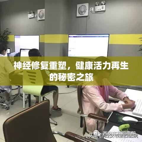 神經(jīng)修復(fù)重塑，健康活力再生的秘密之旅