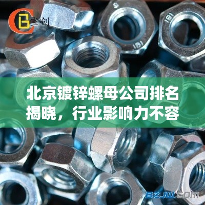 北京鍍鋅螺母公司排名揭曉，行業(yè)影響力不容小覷
