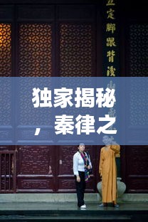 獨(dú)家揭秘，秦律之魅力——探尋古代法律的獨(dú)特韻味