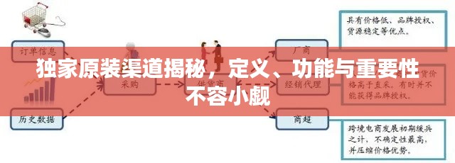 獨(dú)家原裝渠道揭秘，定義、功能與重要性不容小覷