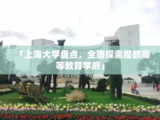 「上海大學(xué)盤點，全面探索魔都高等教育學(xué)府」