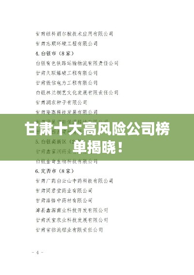 甘肅十大高風險公司榜單揭曉！