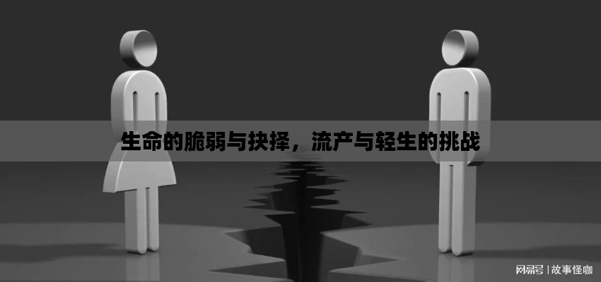 生命的脆弱與抉擇，流產(chǎn)與輕生的挑戰(zhàn)