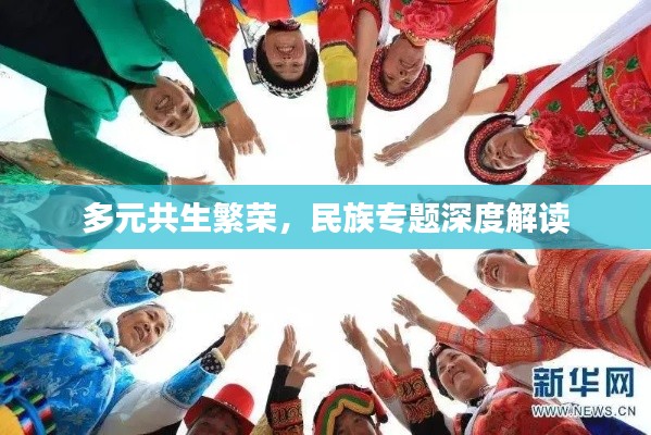多元共生繁榮，民族專題深度解讀