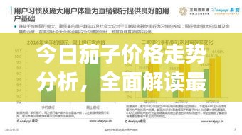 今日茄子價(jià)格走勢分析，全面解讀最新行情