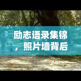 勵志語錄集錦，照片墻背后的力量