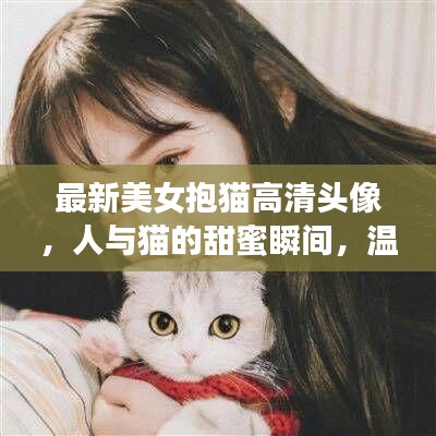 最新美女抱貓高清頭像，人與貓的甜蜜瞬間，溫馨畫面不容錯過