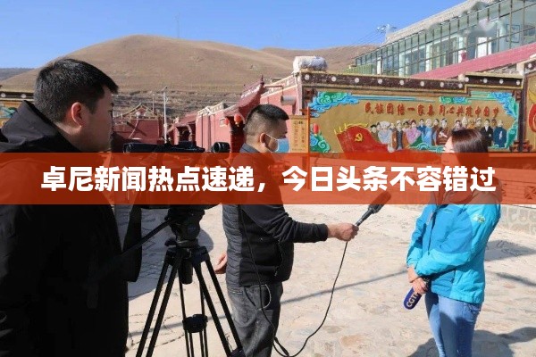 卓尼新聞熱點(diǎn)速遞，今日頭條不容錯(cuò)過