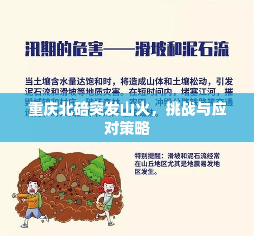 重慶北碚突發(fā)山火，挑戰(zhàn)與應(yīng)對策略