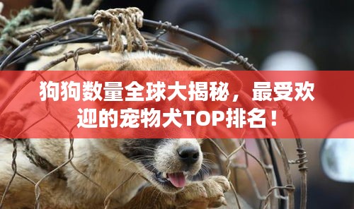 狗狗數(shù)量全球大揭秘，最受歡迎的寵物犬TOP排名！