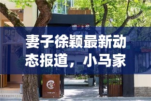 妻子徐穎最新動態(tài)報道，小馬家的新鮮事