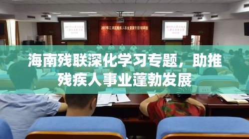 海南殘聯(lián)深化學習專題，助推殘疾人事業(yè)蓬勃發(fā)展