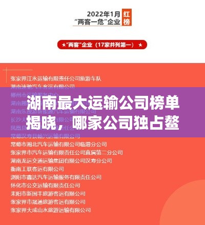 湖南最大運(yùn)輸公司榜單揭曉，哪家公司獨(dú)占鰲頭？