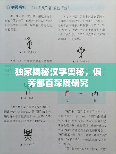 獨家揭秘漢字奧秘，偏旁部首深度研究