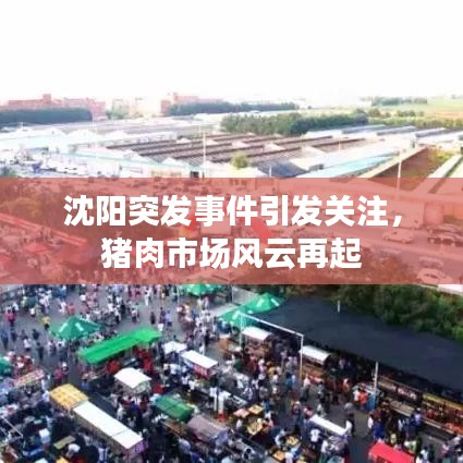 沈陽突發(fā)事件引發(fā)關(guān)注，豬肉市場風(fēng)云再起