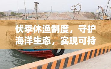 伏季休漁制度，守護海洋生態(tài)，實現(xiàn)可持續(xù)發(fā)展之路