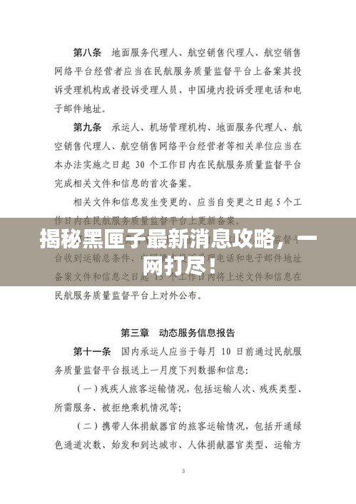揭秘黑匣子最新消息攻略，一網(wǎng)打盡！