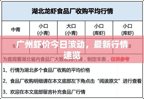 廣州蝦價今日波動，最新行情速覽
