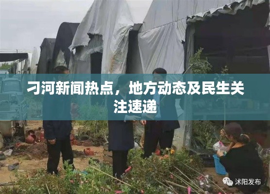 刁河新聞熱點(diǎn)，地方動(dòng)態(tài)及民生關(guān)注速遞