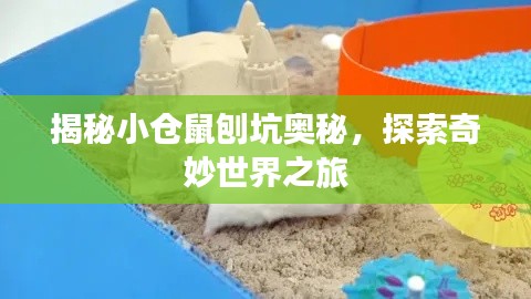 揭秘小倉(cāng)鼠刨坑奧秘，探索奇妙世界之旅
