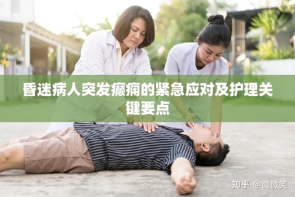 昏迷病人突發(fā)癲癇的緊急應(yīng)對及護理關(guān)鍵要點