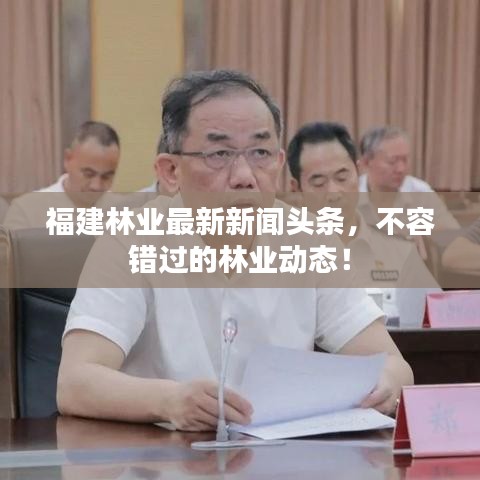 福建林業(yè)最新新聞頭條，不容錯過的林業(yè)動態(tài)！