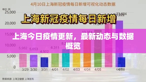 上海今日疫情更新，最新動(dòng)態(tài)與數(shù)據(jù)概覽