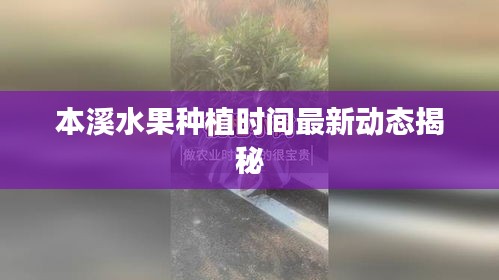 七嘴八張 第2頁