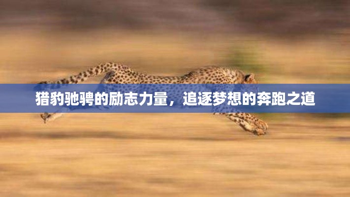 獵豹馳騁的勵志力量，追逐夢想的奔跑之道