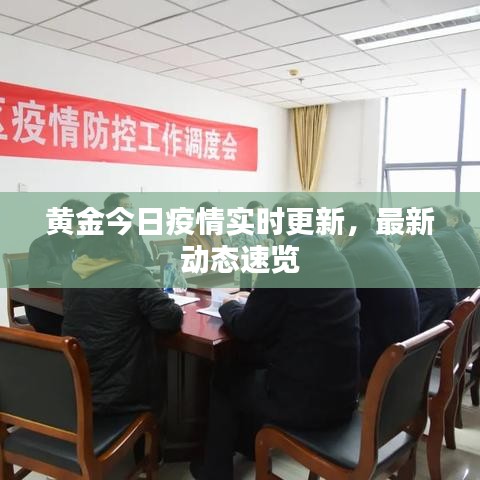 黃金今日疫情實時更新，最新動態(tài)速覽