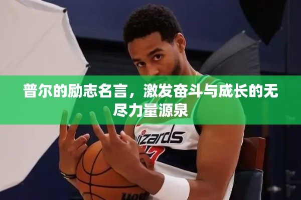 普爾的勵志名言，激發(fā)奮斗與成長的無盡力量源泉