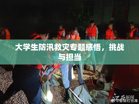 大學(xué)生防汛救災(zāi)專題感悟，挑戰(zhàn)與擔(dān)當(dāng)