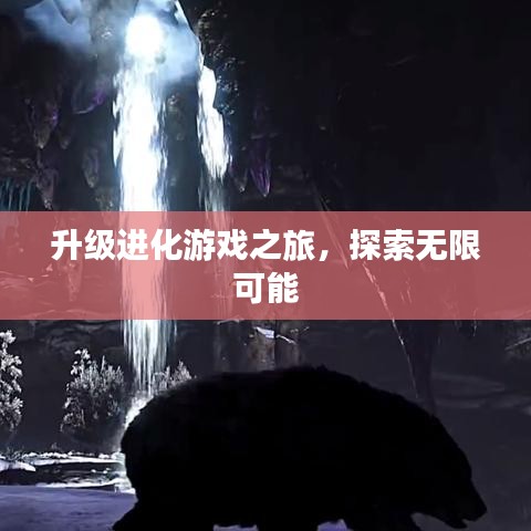升級(jí)進(jìn)化游戲之旅，探索無(wú)限可能