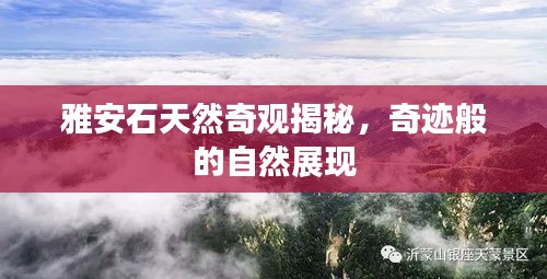 雅安石天然奇觀揭秘，奇跡般的自然展現(xiàn)