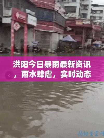 洪陽(yáng)今日暴雨最新資訊，雨水肆虐，實(shí)時(shí)動(dòng)態(tài)關(guān)注！