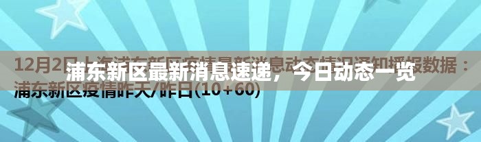 浦東新區(qū)最新消息速遞，今日動態(tài)一覽