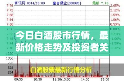 今日白酒股市行情，最新價格走勢及投資者關(guān)注焦點