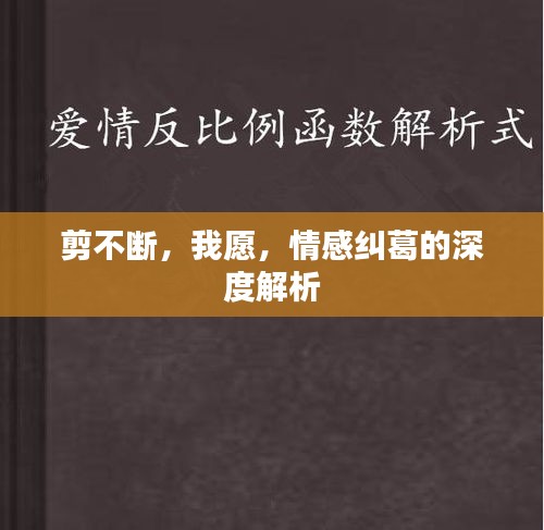 剪不斷，我愿，情感糾葛的深度解析