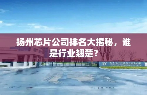 揚州芯片公司排名大揭秘，誰是行業(yè)翹楚？